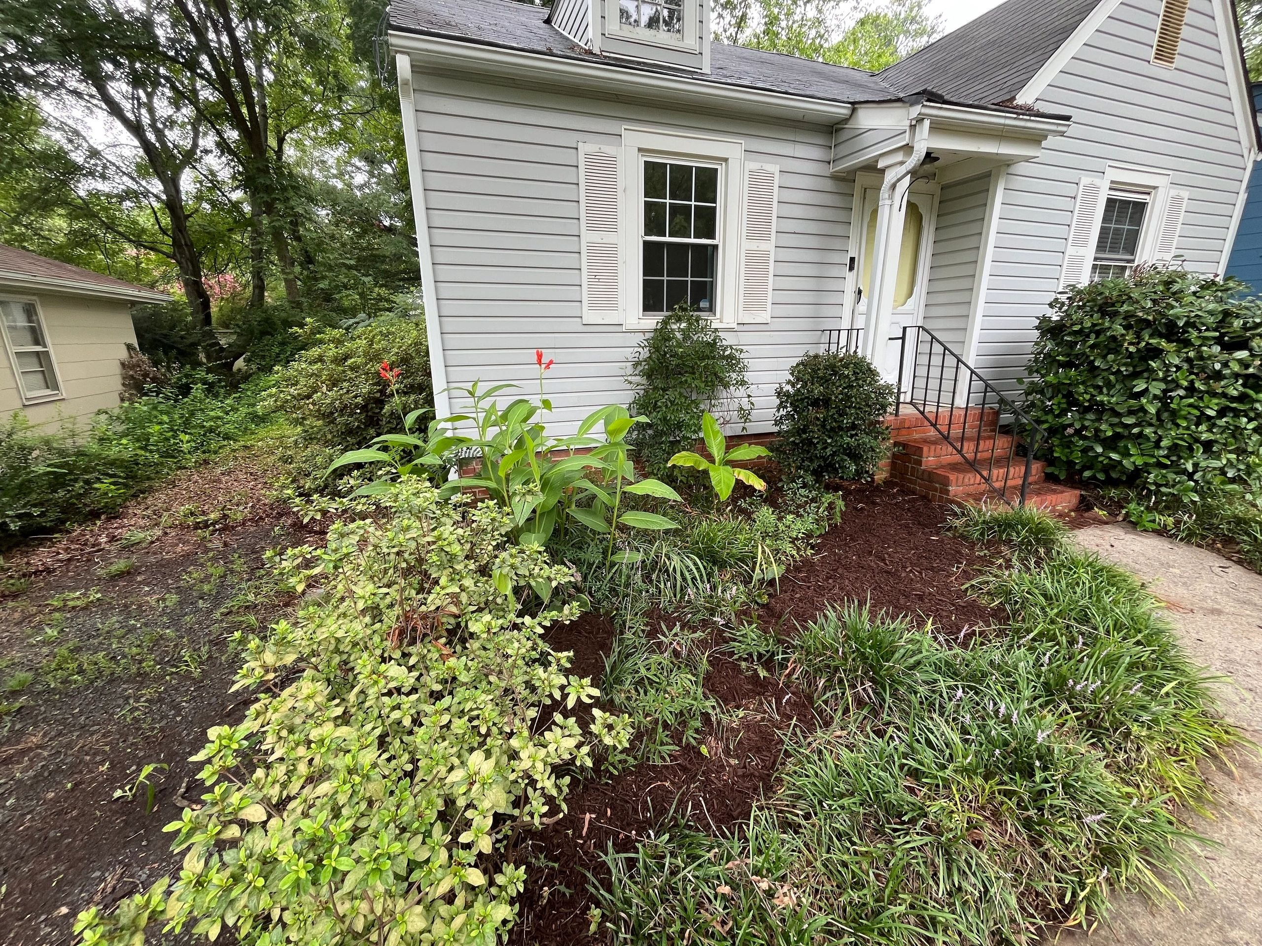 Flourish Again landscape project